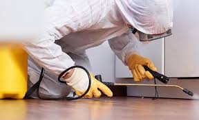 Best Residential Pest Control  in Auburn, GA